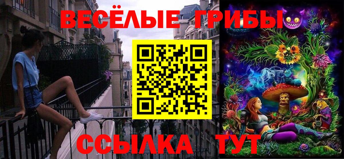 Псилоцибиновые грибы прущие грибы  Вход с VPN  Щёлково 