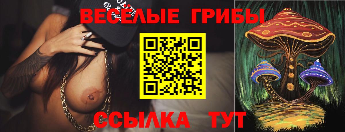 Псилоцибиновые грибы мухоморы Щёлково